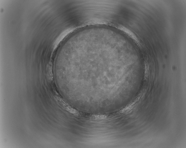 X0000071830878200607141657