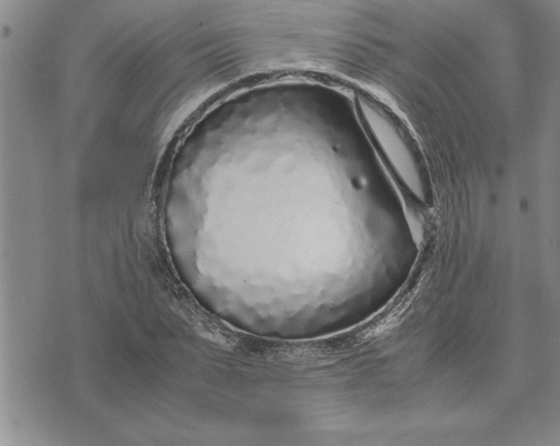 X0000071830879200607141657