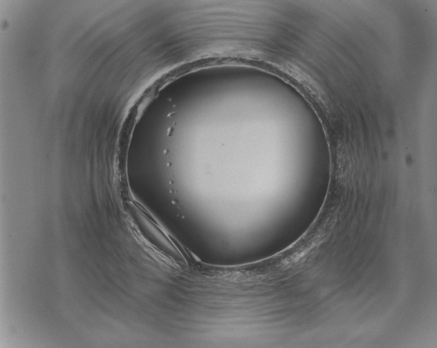 X0000071830880200607141657