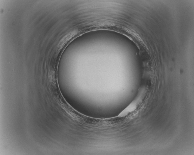 X0000071830881200607141657