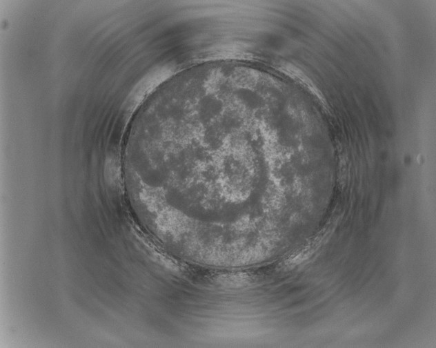 X0000071830882200607141657