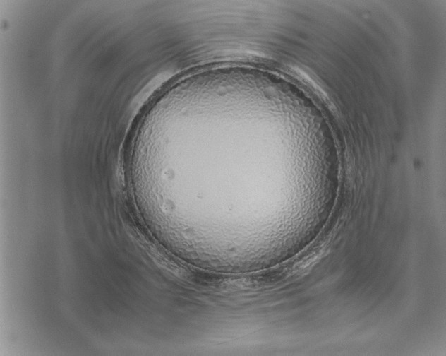 X0000071830883200607141657