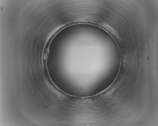 X0000071830884200607141657