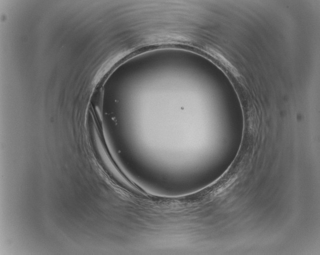 X0000071830885200607141657