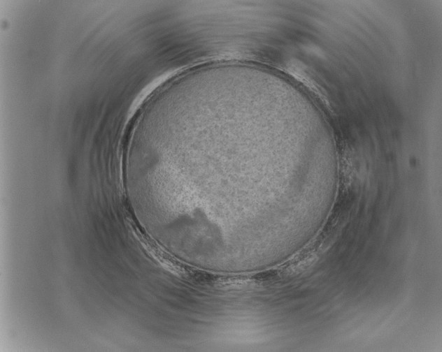 X0000071830886200607141657