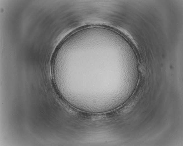 X0000071830887200607141657