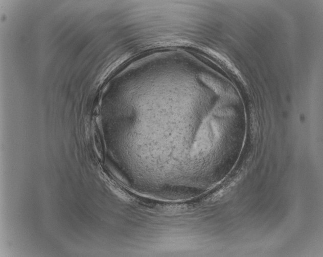 X0000071830889200607141657