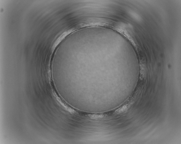 X0000071830890200607141657