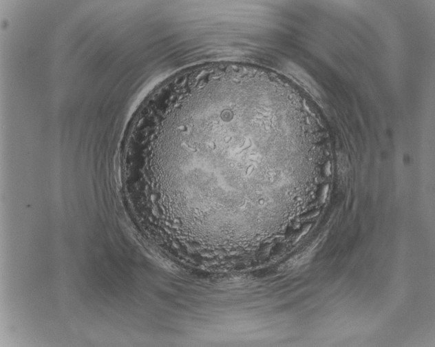 X0000071830891200607141657