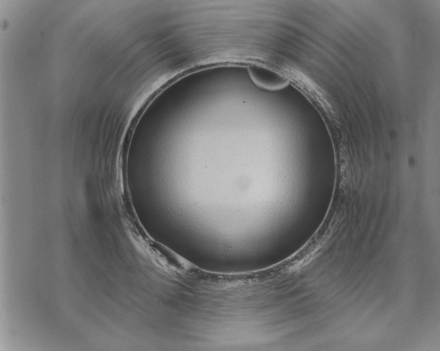 X0000071830892200607141657