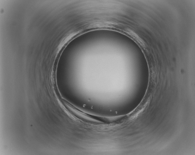 X0000071830893200607141657