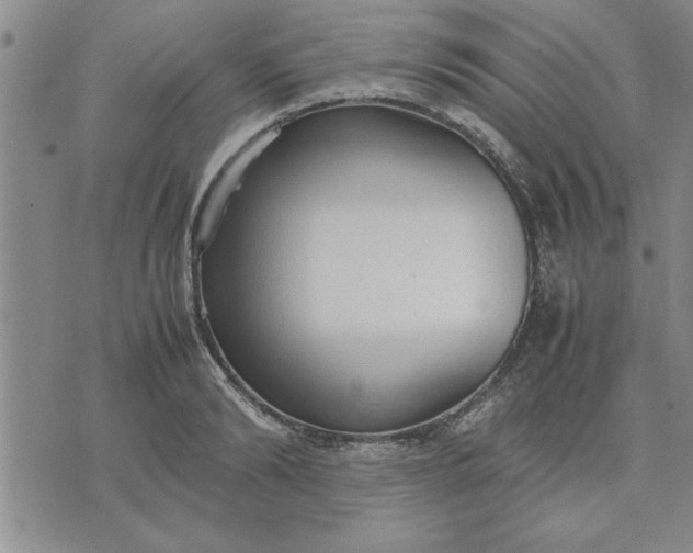 X0000071830894200607141657