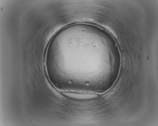 X0000071830895200607141657