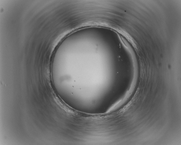 X0000071830896200607141657