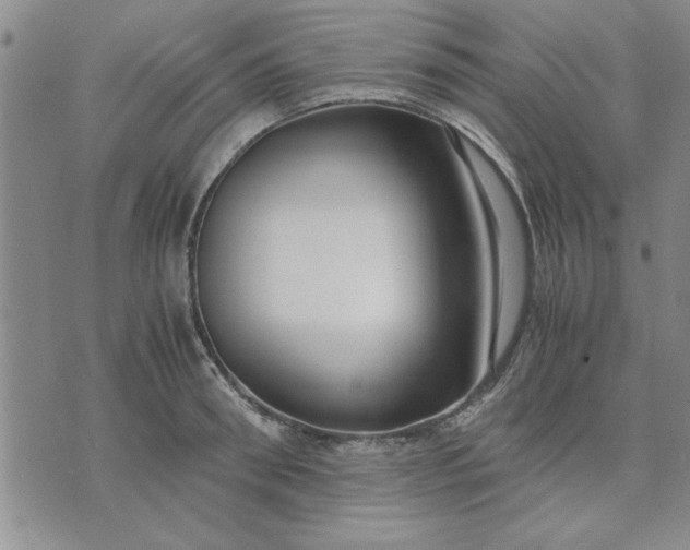 X0000071830898200607141657