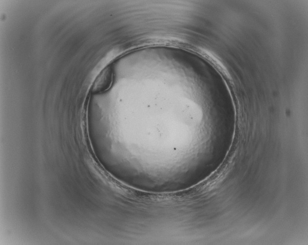 X0000071830899200607141657