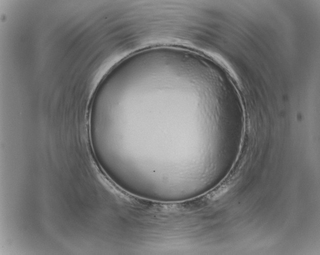 X0000071830903200607141657