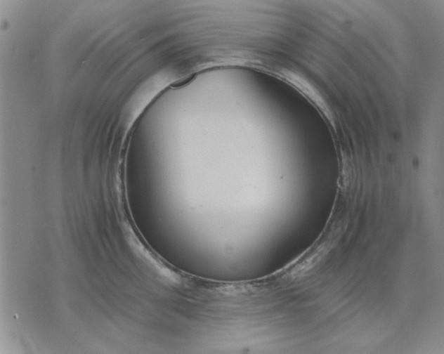 X0000071830906200607141657