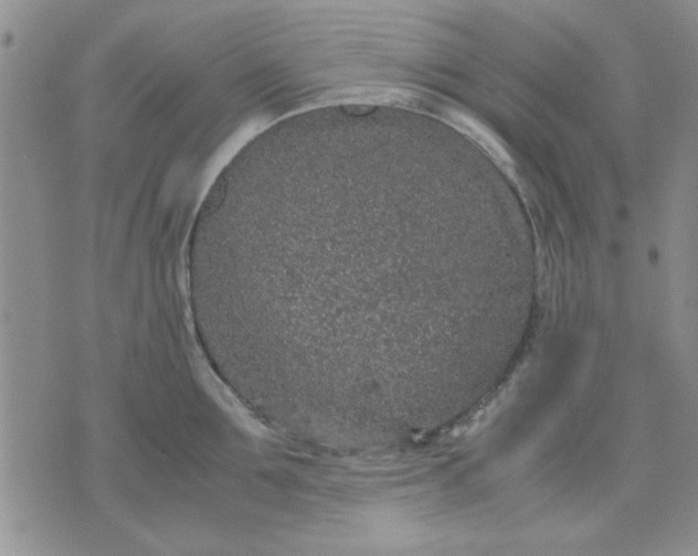 X0000071830907200607141657