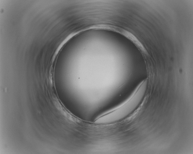 X0000071830908200607141657