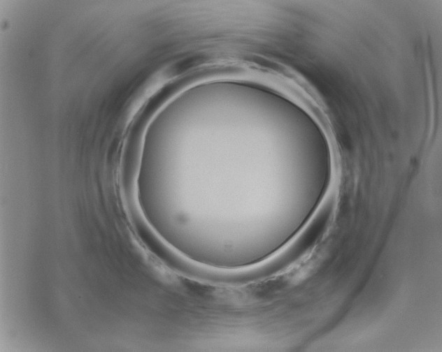 X0000071830909200607141657