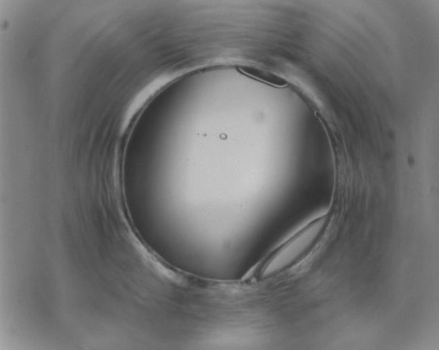 X0000071830910200607141657