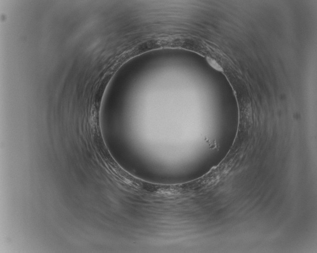 X0000071830914200607141656