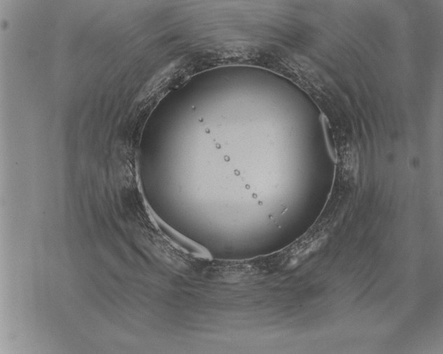 X0000071830916200607141656