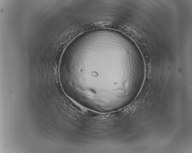 X0000071830917200607141656