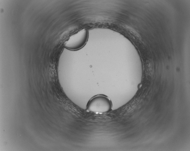 X0000071830918200607141656