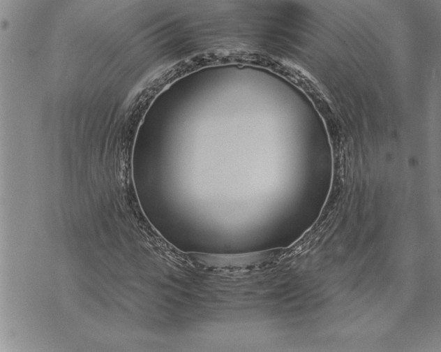 X0000071830919200607141656