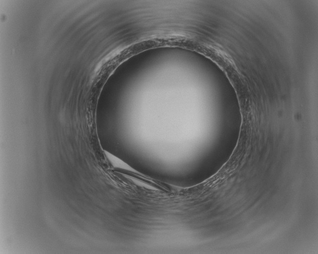 X0000071830920200607141656