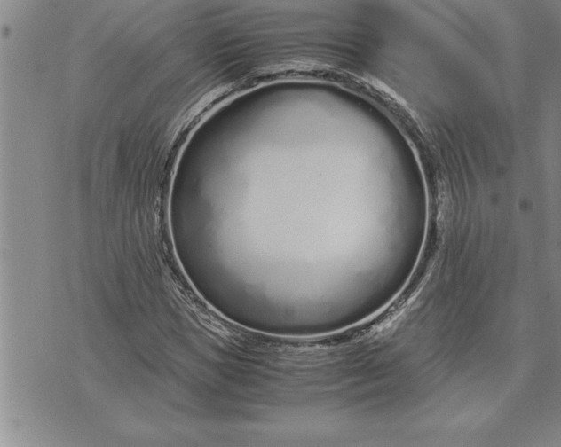 X0000071830921200607141656