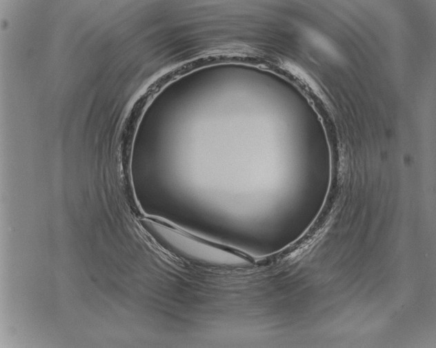 X0000071830923200607141656