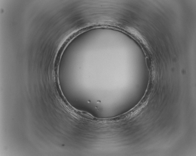 X0000071830924200607141656