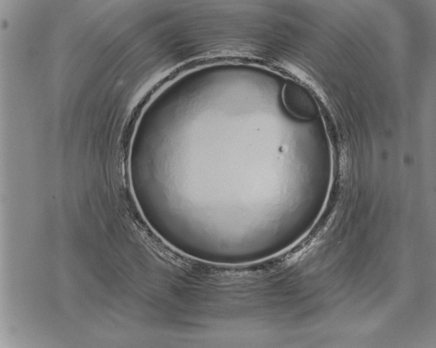 X0000071830925200607141656