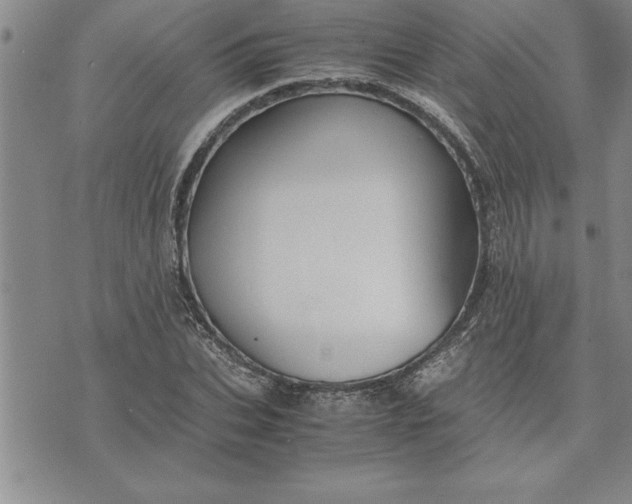 X0000071830927200607141656