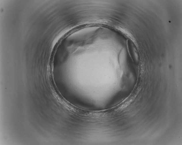 X0000071830928200607141656