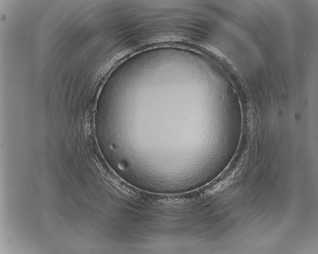 X0000071830929200607141656