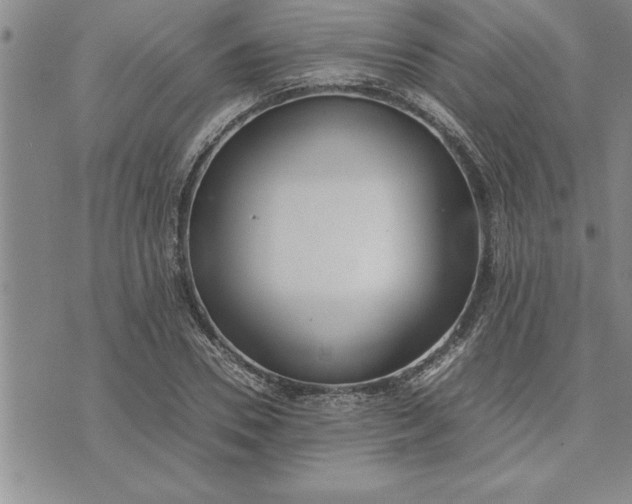 X0000071830930200607141656