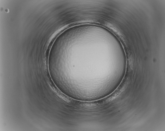 X0000071830933200607141656