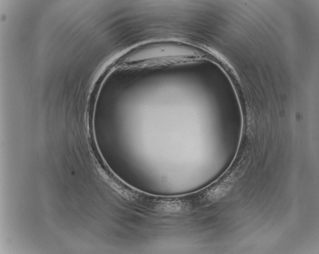 X0000071830935200607141656