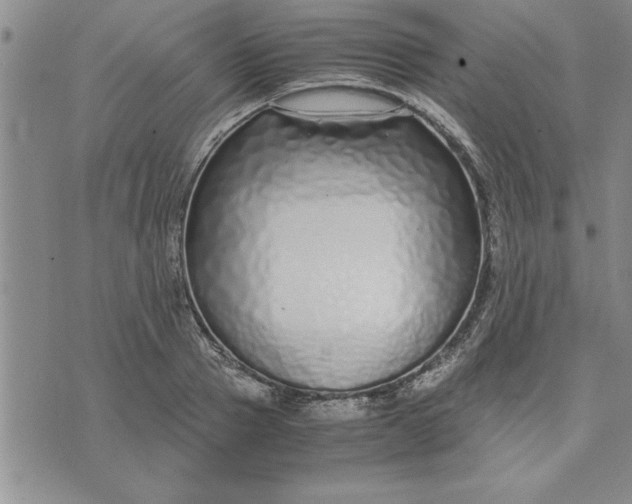 X0000071830937200607141656