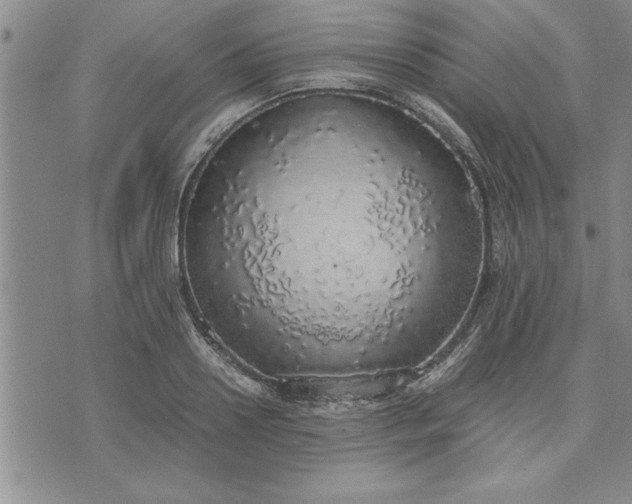 X0000071830938200607141657