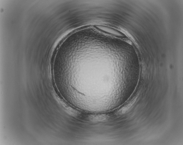 X0000071830939200607141657