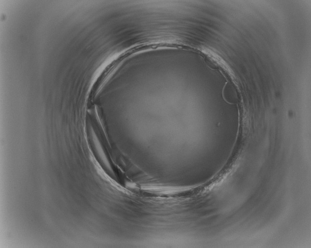 X0000071830941200607141657