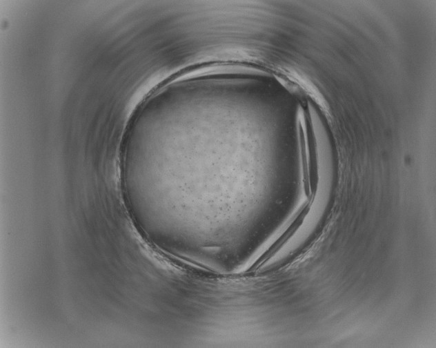 X0000071830944200607141657