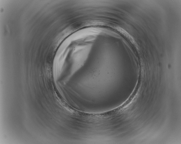 X0000071830945200607141657