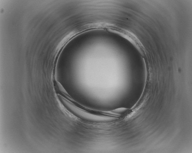 X0000071830946200607141657