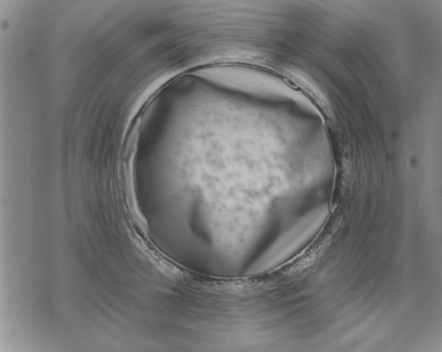 X0000071830948200607141657